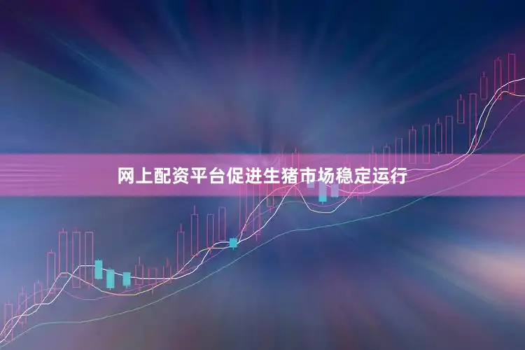 网上配资平台促进生猪市场稳定运行
